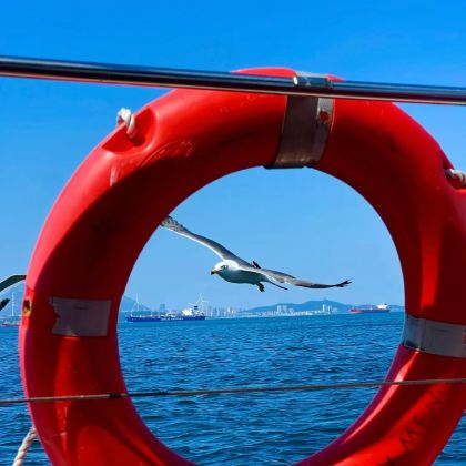 大连+金石滩+老虎滩海洋公园4日3晚私家团 大连+金石滩+老虎滩海洋公园4日3晚私家团