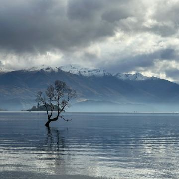 新西兰基督城13日11晚私家团 新西兰基督城13日11晚私家团