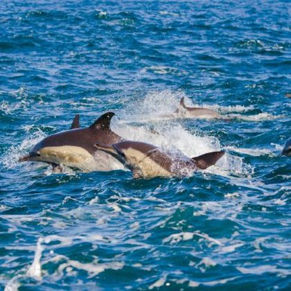 毛里求斯8日5晚私家团 毛里求斯8日5晚私家团