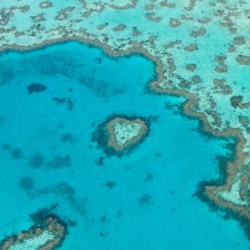 澳大利亚汉密尔顿岛4日3晚自由行 澳大利亚汉密尔顿岛4日3晚自由行