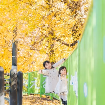 日本东京+箱根+大阪+京都7日6晚私家团 日本东京+箱根+大阪+京都7日6晚私家团