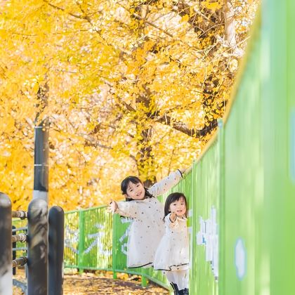 日本东京+箱根+大阪+京都7日6晚私家团 日本东京+箱根+大阪+京都7日6晚私家团