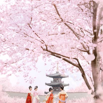 上海+苏州+杭州+无锡+南京+乌镇5日4晚跟团游 上海+苏州+杭州+无锡+南京+乌镇5日4晚跟团游