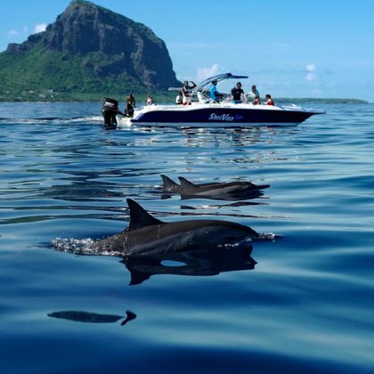 毛里求斯7日6晚私家团 毛里求斯7日6晚私家团