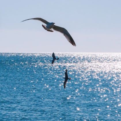 浙江嵊泗3日2晚自由行 浙江嵊泗3日2晚自由行