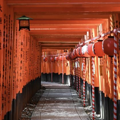 京都+大阪+奈良7日6晚自由行 京都+大阪+奈良7日6晚自由行