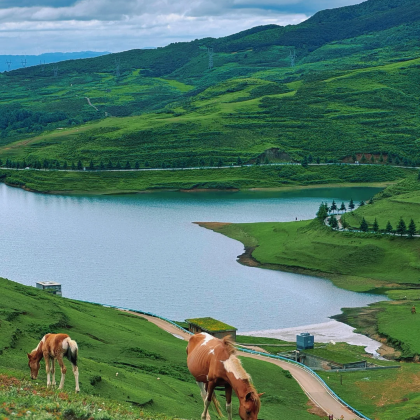 贵阳+织金洞+草海国家级自然保护区7日6晚私家团 贵阳+织金洞+草海国家级自然保护区7日6晚私家团