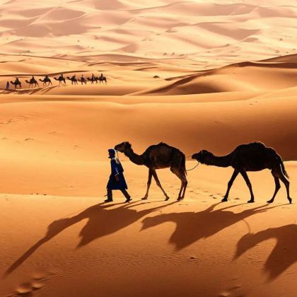 摩洛哥卡萨布兰卡+马拉喀什+非斯+舍夫沙万+撒哈拉沙漠10日8晚私家团 摩洛哥卡萨布兰卡+马拉喀什+非斯+舍夫沙万+撒哈拉沙漠10日8晚私家团