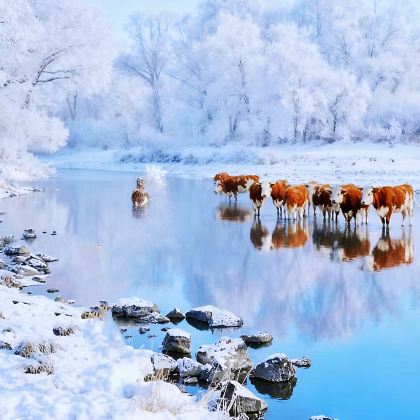 呼伦贝尔+满洲里+阿尔山5日4晚拼小团 呼伦贝尔+满洲里+阿尔山5日4晚拼小团