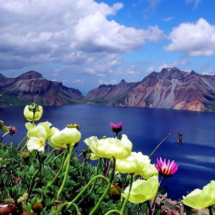吉林市+长白山+哈尔滨6日5晚跟团游 吉林市+长白山+哈尔滨6日5晚跟团游