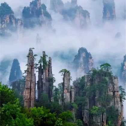 张家界+武陵源+大峡谷+天门山4日3晚私家团 张家界+武陵源+大峡谷+天门山4日3晚私家团