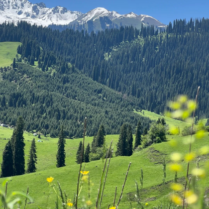 巴音布鲁克景区+巴音布鲁克景区-九曲十八弯+巴音布鲁克湿地草原景区+巴音布鲁克大草原+巴音布鲁克天鹅湖5日4晚私家团 巴音布鲁克景区+巴音布鲁克景区-九曲十八弯+巴音布鲁克湿地草原景区+巴音布鲁克大草原+巴音布鲁克天鹅湖5日4晚私家团