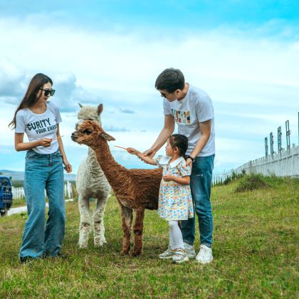 北戴河+避暑山庄+坝上+木兰围场+乌兰布统旅游区6日5晚私家团 北戴河+避暑山庄+坝上+木兰围场+乌兰布统旅游区6日5晚私家团