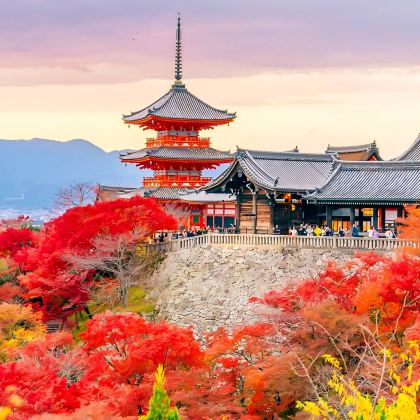 日本大阪+京都+奈良市+宇治市4日3晚跟团游 日本大阪+京都+奈良市+宇治市4日3晚跟团游