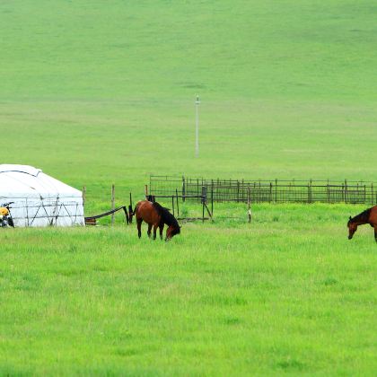 内蒙古锡林郭勒盟+锡林浩特+锡林郭勒盟草原+达达线+阿斯哈图石林景区+热阿线+达里湖5日4晚跟团游 内蒙古锡林郭勒盟+锡林浩特+锡林郭勒盟草原+达达线+阿斯哈图石林景区+热阿线+达里湖5日4晚跟团游