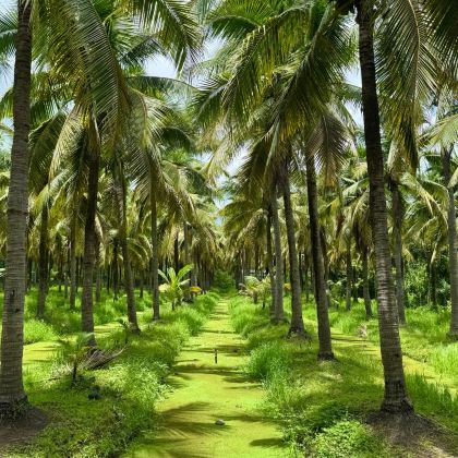 泰国6日5晚私家团 泰国6日5晚私家团