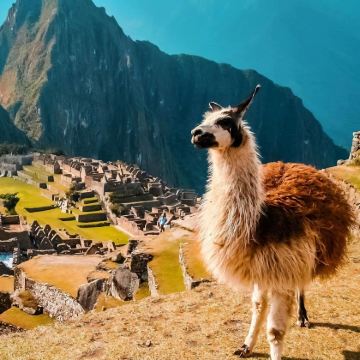 秘鲁10日9晚私家团 秘鲁10日9晚私家团