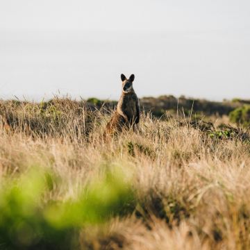 澳大利亚7日6晚私家团 澳大利亚7日6晚私家团