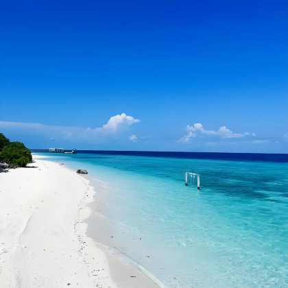 马来西亚吉隆坡+仙本那卡帕莱岛+沙巴Kawa红树林+京那巴鲁山9日8晚私家团 马来西亚吉隆坡+仙本那卡帕莱岛+沙巴Kawa红树林+京那巴鲁山9日8晚私家团