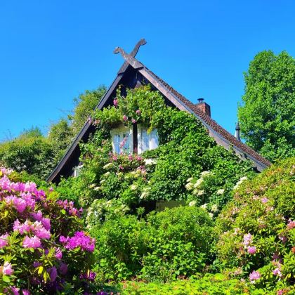 德国+法兰克福12日10晚私家团 德国+法兰克福12日10晚私家团