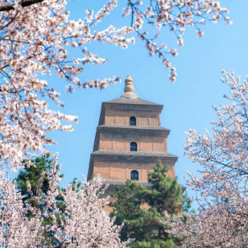 西安3日2晚私家团 西安3日2晚私家团