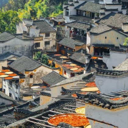 江西庐山市+景德镇+婺源+三清山风景区4日3晚跟团游 江西庐山市+景德镇+婺源+三清山风景区4日3晚跟团游