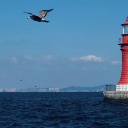 大连+旅顺口风景名胜区+金石滩度假区5日4晚私家团 大连+旅顺口风景名胜区+金石滩度假区5日4晚私家团