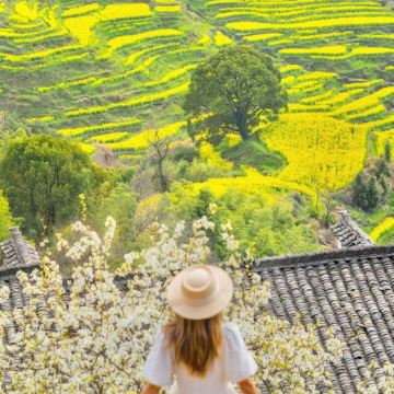 江西南昌+庐山风景名胜区+婺源+景德镇+三清山风景区5日4晚跟团游 江西南昌+庐山风景名胜区+婺源+景德镇+三清山风景区5日4晚跟团游