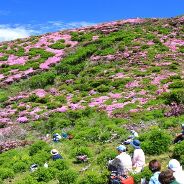 福冈+熊本县+鹿儿岛县7日私家团 福冈+熊本县+鹿儿岛县7日私家团