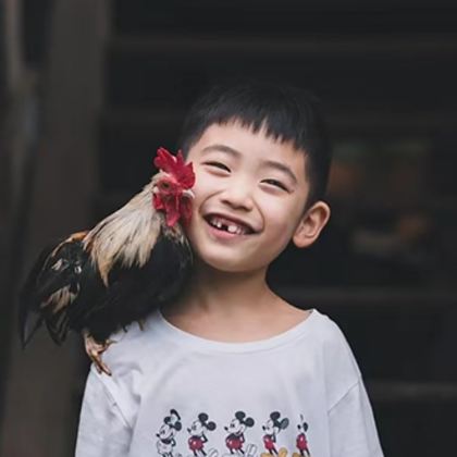 云南西双版纳+普洱5日4晚拼小团 云南西双版纳+普洱5日4晚拼小团