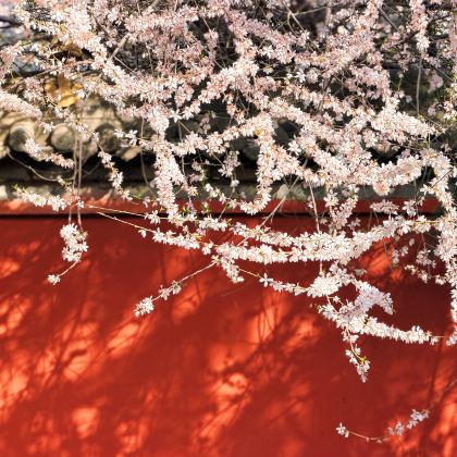 西安5日4晚私家团 西安5日4晚私家团