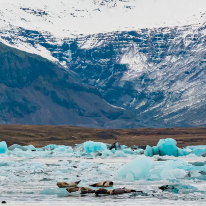 雷克雅未克8日7晚拼小团 雷克雅未克8日7晚拼小团