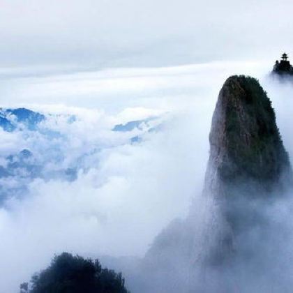 少林寺+龙门石窟+牡丹园+老君山景区+黄河三峡8日5晚跟团游