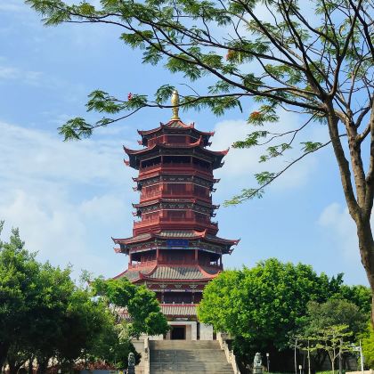 厦门鼓浪屿+日光岩+厦门园林植物园+环岛路4日3晚自由行