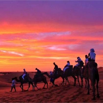 摩洛哥卡萨布兰卡-塞塔特大区+撒哈拉沙漠+马拉喀什+舍夫沙万12日9晚跟团游