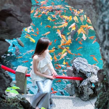 广州+佛山2日1晚私家团 广州+佛山2日1晚私家团