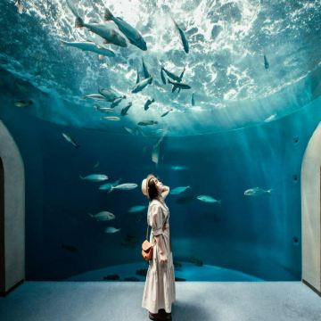 日本大阪+神户+松山+小豆岛+高松8日7晚私家团 日本大阪+神户+松山+小豆岛+高松8日7晚私家团