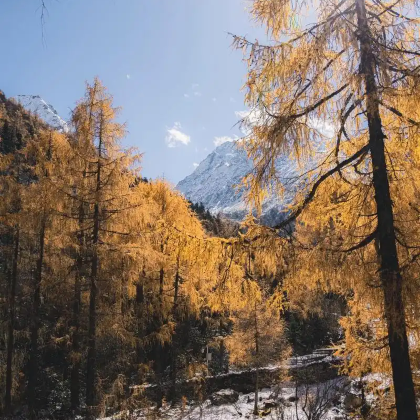 光雾山旅游景区+米仓山国家森林公园+十八月潭景区5日4晚私家团 光雾山旅游景区+米仓山国家森林公园+十八月潭景区5日4晚私家团