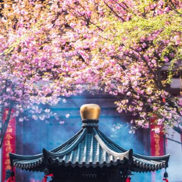 西安5日4晚私家团 西安5日4晚私家团