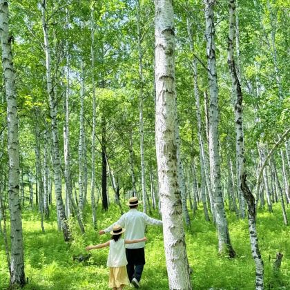 漠河+龙江第一湾风景区2日1晚拼小团 漠河+龙江第一湾风景区2日1晚拼小团