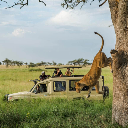 坦桑尼亚+塞伦盖蒂国家公园9日私家团