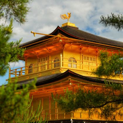 日本大阪+京都+奈良7日6晚拼小团 日本大阪+京都+奈良7日6晚拼小团