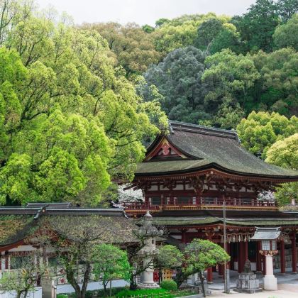 日本福冈+大分+熊本6日5晚跟团游 日本福冈+大分+熊本6日5晚跟团游