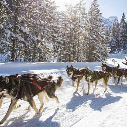 美国阿拉斯加州安克雷奇+费尔班克斯7日6晚跟团游 美国阿拉斯加州安克雷奇+费尔班克斯7日6晚跟团游
