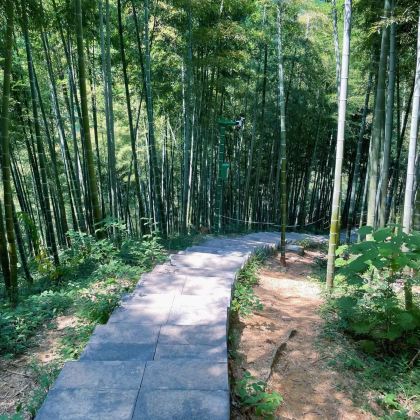 安吉3日2晚拼小团 安吉3日2晚拼小团