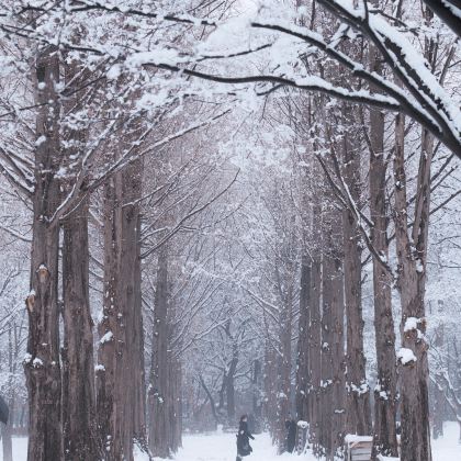 韩国首尔+南怡岛4日3晚私家团 韩国首尔+南怡岛4日3晚私家团