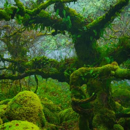 英国伦敦+温彻斯特+伯恩矛斯+埃克塞特+布里斯托尔+巴斯8日7晚私家团 英国伦敦+温彻斯特+伯恩矛斯+埃克塞特+布里斯托尔+巴斯8日7晚私家团