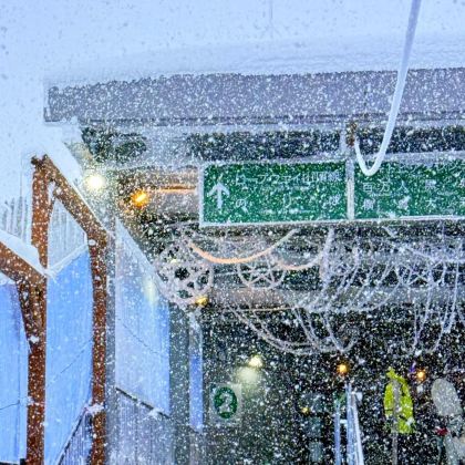 日本青森市10日9晚拼小团 日本青森市10日9晚拼小团