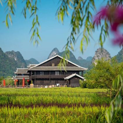 广西桂林+漓江+阳朔+南宁+德天瀑布+通灵峡谷+巴马8日7晚跟团游 广西桂林+漓江+阳朔+南宁+德天瀑布+通灵峡谷+巴马8日7晚跟团游