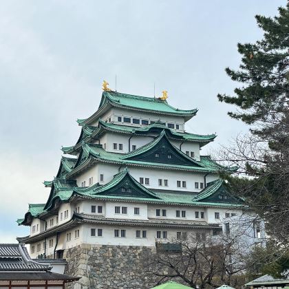 日本名古屋+金泽+立山黑部阿尔卑斯山脉+飞驒高山6日私家团 日本名古屋+金泽+立山黑部阿尔卑斯山脉+飞驒高山6日私家团